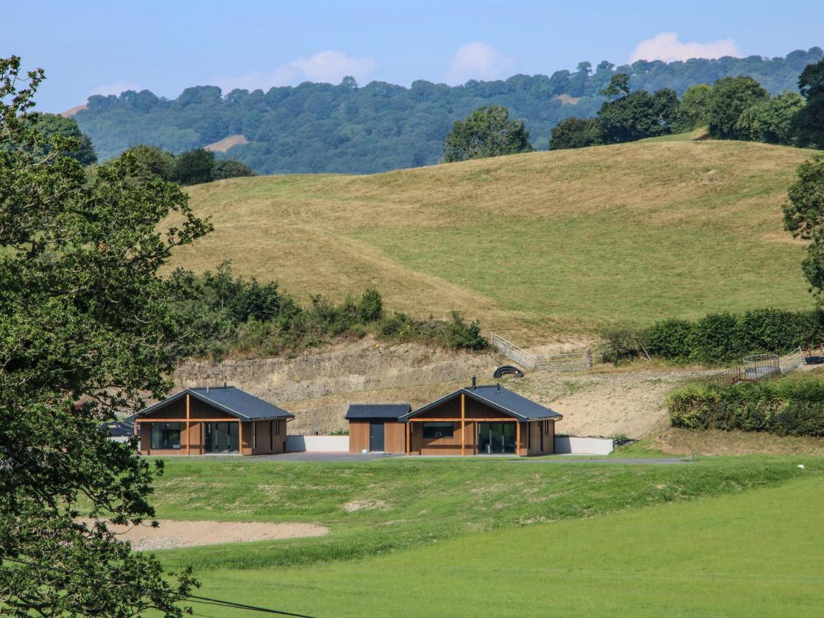 Meadow View Villa Meifod Exterior foto